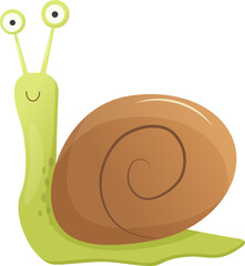 Vector cute funny green snail with brown shell