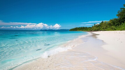 Serene White Sand Beach with Crystal Blue Waters and Clear Sky Background