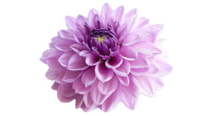 Plastic bag transparent background