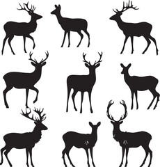 deers silhouette group different pose