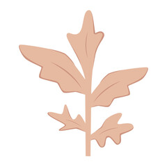 illustration of a plant with leaves