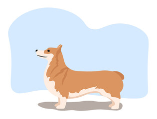 Vector illustration of a Welsh Corgi Pembroke