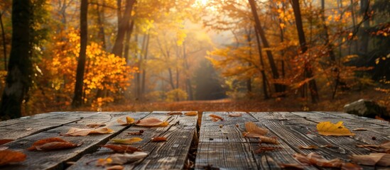 Autumnal Forest Scene with Wooden Table