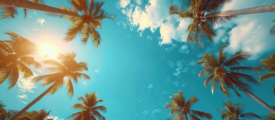 Palm Trees Against a Blue Sky