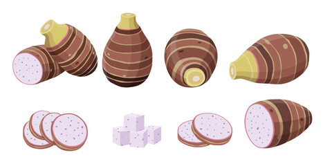 taro isolated on white background.vector cartoon style	