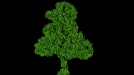 Fototapeta premium Beautiful illustration of tree shape with green grass effect on plain black background