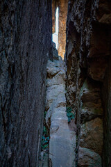 Blue Mountains National Park, New South Wales, Australia