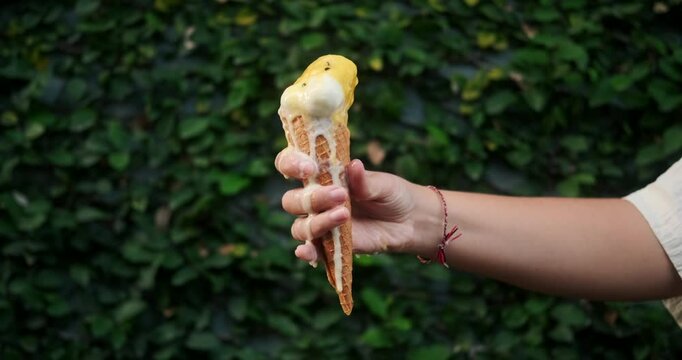 A close up of a woman hand holding a waffle cone with vanilla ice cream, which melts and flows down her hand. Ice cream flows and drips onto your hand. Extreme heat. Summer background.