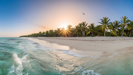 beach with palm trees