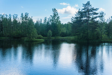beautiful summer calm lake in green forest