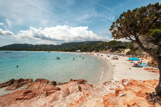 Holidaymakers enjoying the sun, sand and azure Mediterranean sea at Palombaggia beach on the south east coast of the island of Corsica