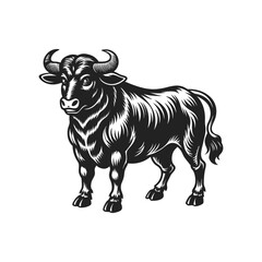 Fototapeta premium bull engraving hand drawn illustration isolated white background
