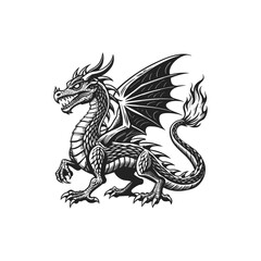 dragon engraving hand drawn illustration isolated white background