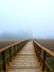 Fototapeta premium Wooden walkway through misty wetlands.