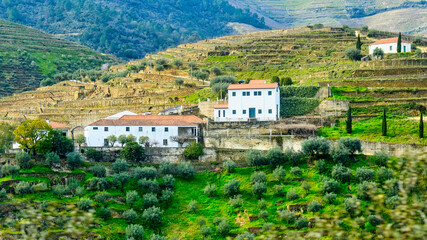Naklejka premium Agricultural building in Douro Valley, Portugal