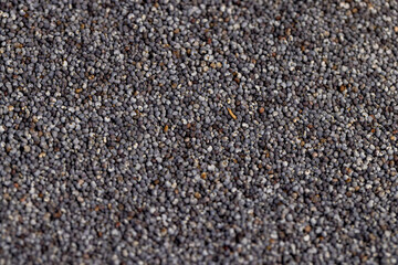 scattered poppy seeds for cooking