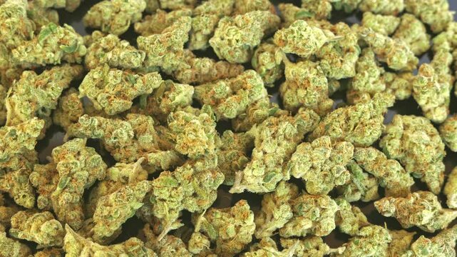 High Quality Medical or Recreational Marijuana Slow Dolly Shot