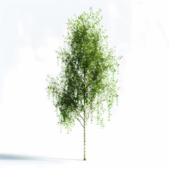 Isometric Bonsai Tree Render – Elegant 3D Digital Art