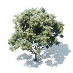 Stylized Isometric Tree – 3D Rendered Nature Graphic