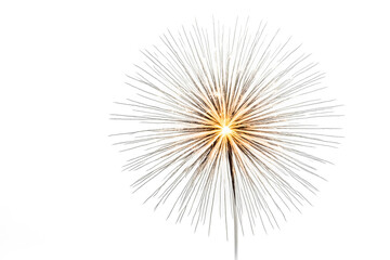 Obraz premium Sparkling Dandelion Seedhead with White Background