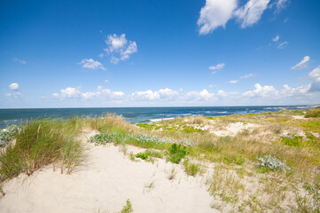 Sand dunes landscape at the Baltic sea