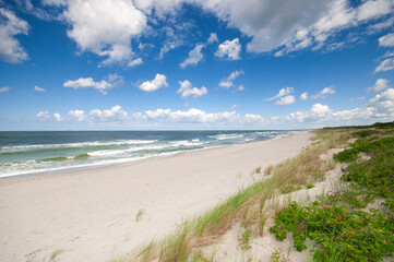 Sand dunes landscape at the Baltic sea