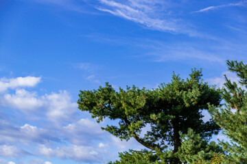 Obraz premium Blue sky with cirrus and cumulus clouds