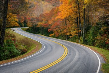 Fototapeta premium A curvy road with trees in the background. Road to somewhere concept