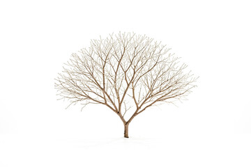Obraz premium Bare Tree in a Winter Wonderland