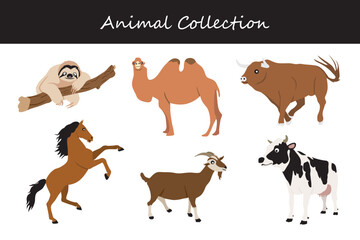Animals collection. Flat style vector illustration.