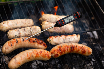 Close-up shot of digital meat thermometer with Celsius scale showing safe cooking temperature...