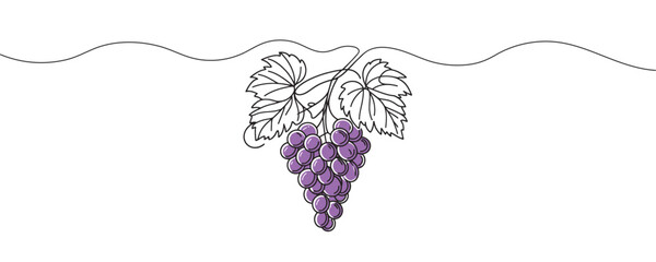 Grapes in continuous line drawing style. Vector illustration.