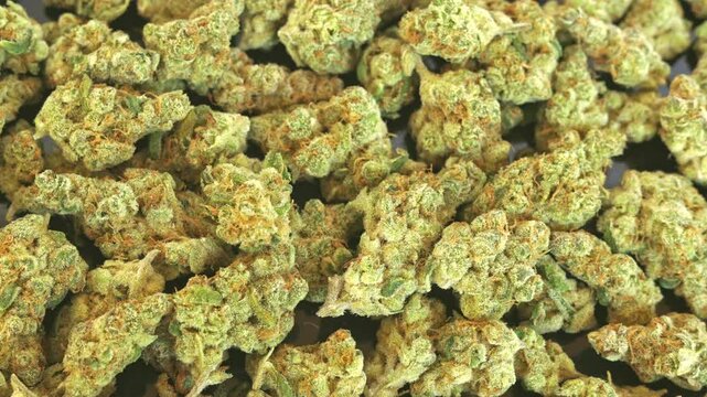 Marijuana Slow Zoom In Closeup