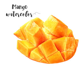 Watercolor illustration of mango with slices, cubes on white backdrop, detailed botanical artistry. PNG