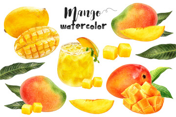 Vibrant watercolor mango illustration featuring whole, sliced, cubed, and juiced mangoes with leaves. PNG