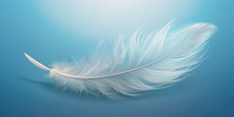 White Feather on Blue Background, feather, nature, delicate, softness