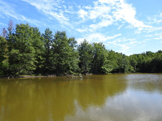 The natural beauty of a wetland pond within the Bombay Hook National Wildlife Refuge, Kent County, Delaware.