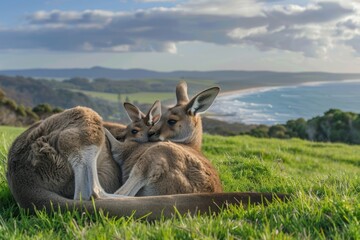 Fototapeta premium Two kangaroos are laying down in a grassy field next to a body of water