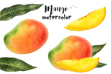 Stock illustration of mango fruit and slices in watercolor, with vibrant colors and detailed design