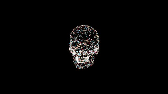 3D animation of a human skull with multi-colored particles and rotating it around an axis in a circle on a black isolated background