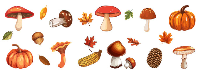 Autumn forest hand drawn Mushrooms, Pumpkins, Leaves, Acorns, and Corn on White Background. Autumn nature season. Vector botanical elements. Design for collage, poster, banner, card, sticker template