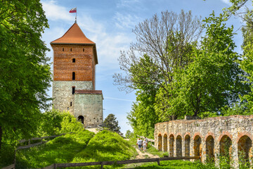 Ruins of a medieval castle in Melsztyn, Poland.