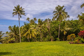 Obraz premium Exposure of the incredible Samoa's coastline, on the South Coast of the Island near Lotofaga