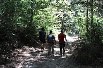Hiking in the Rila mountains