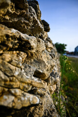 Small plant is growing next to an old stone wall, representing the resilience of nature