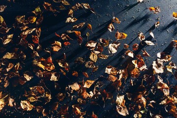 abstract dried leaves background, close-up view