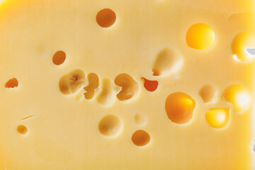 maasdam cheese background, close-up view