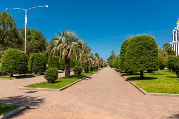 Obraz premium The promenade of the Batumi coastline, along the Black Sea