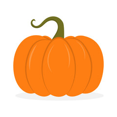 Autumn orange pumpkin with peduncle. Vector illustration isolated
