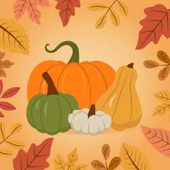 Autumn arrangement with leaves and pumpkins. Autumn Harvest, Thanksgiving card. Vector illustration